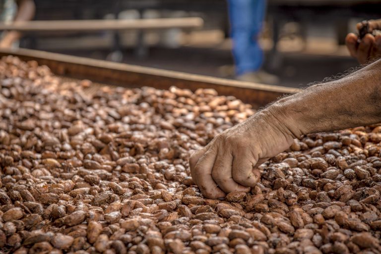 CACAO