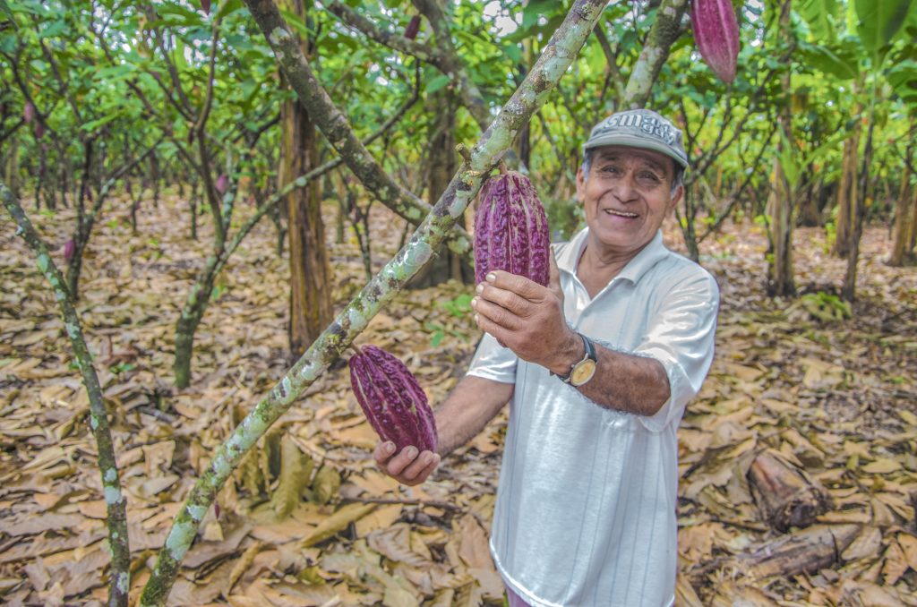 CACAO