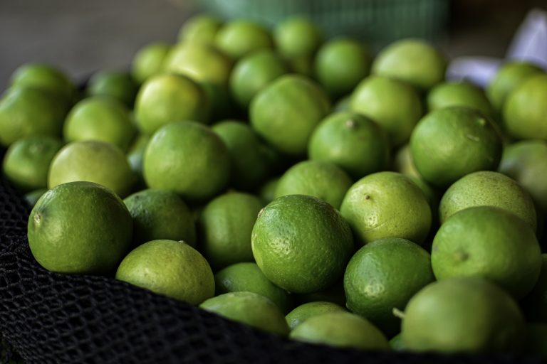 LIMONES. AGRICULTURA. PIURA