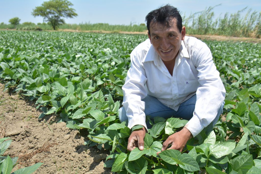AGRICULTURA. AGRICULTOR. CAMPO.
