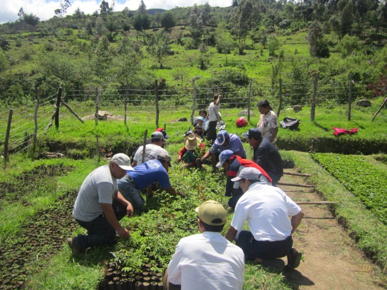 AGRICULTORES. COMUNIDAD