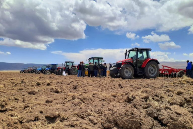 Agro Rural impulsará producción ganadera con instalación de 128,000 hectáreas de pastos