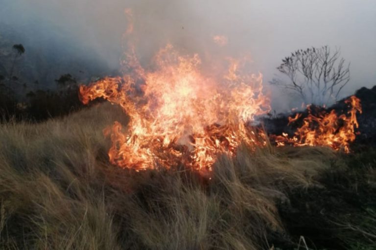 INCENDIOS FORESTALES