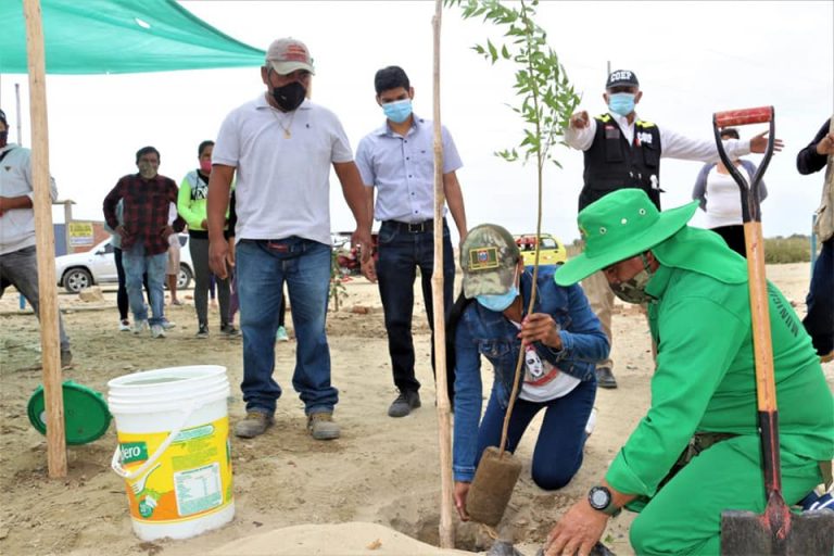 AMBIENTAL, VOLUNTARIADO, PIURA