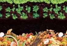 Cómo hacer compost en casa: guía práctica para aprovechar tus desechos orgánicos COMPOST CASERO