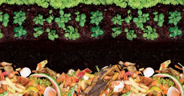 Conoce Cómo Hacer Compost Casero | Agropress