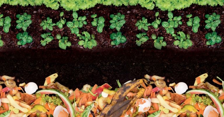 COMPOST CASERO