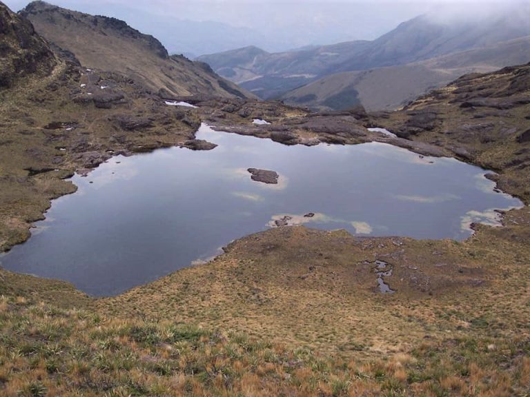 Anuncian un enfoque sostenible en el Reglamento de Gestión Ambiental