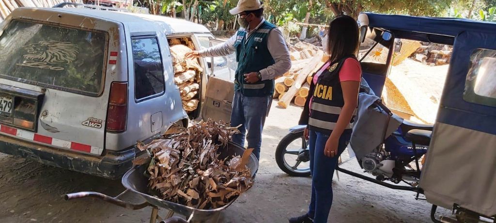palo santo, sullana, decomiso