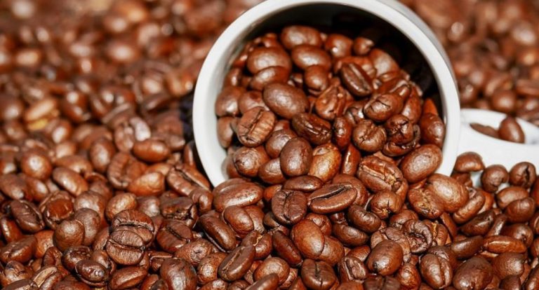 Conoce cómo se cultiva y procesa el café de alta calidad Conoce cómo se cultiva y procesa el café de alta calidad