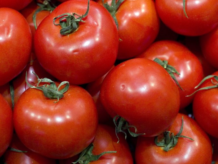 tomate