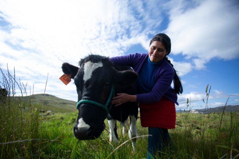 Crédito otorgado por Agrobanco beneficiará a más de 27 mil ganaderos
