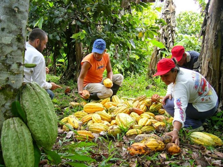 Samuel Dyer: Se debe aprovechar potencial  de la Amazonía peruana
