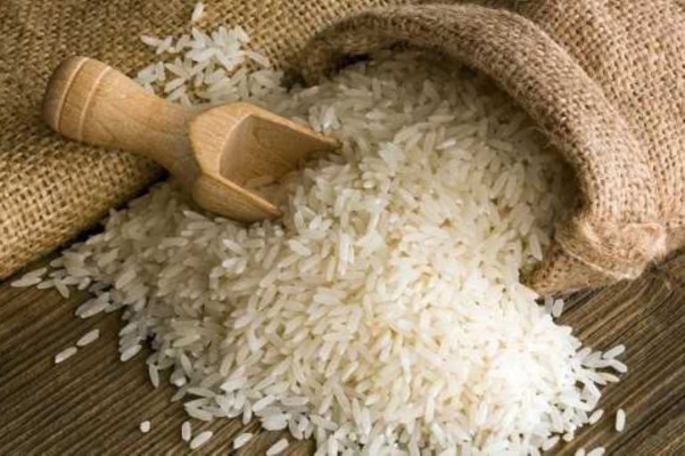 Exportaciones de arroz crecieron 200% en el primer semestre de este año