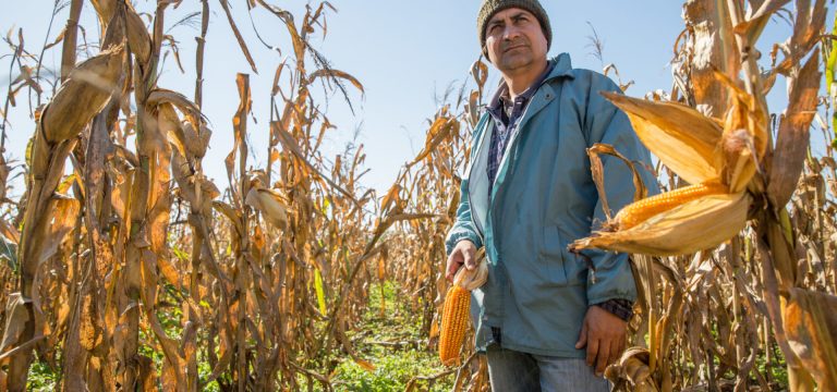 Frepap presentó proyecto que propone pensión para agricultores independientes