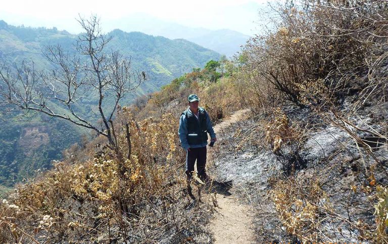 Exigen puesto policial forestal tras incendios forestales en comunidad Pampa Larga en Suyo