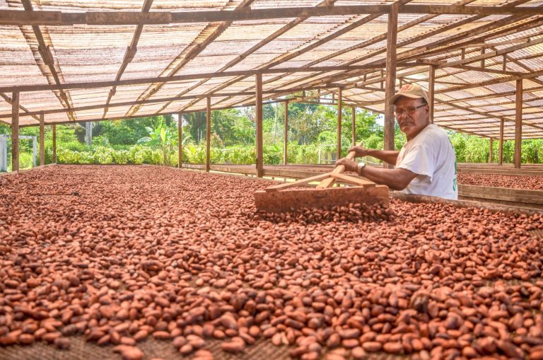 Industria de insumos agrícolas de Costa Rica realizará primera misión virtual en el Perú