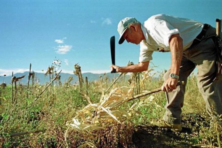 Minagri modifica Manual para Levantamiento Catastral de Predios Rurales