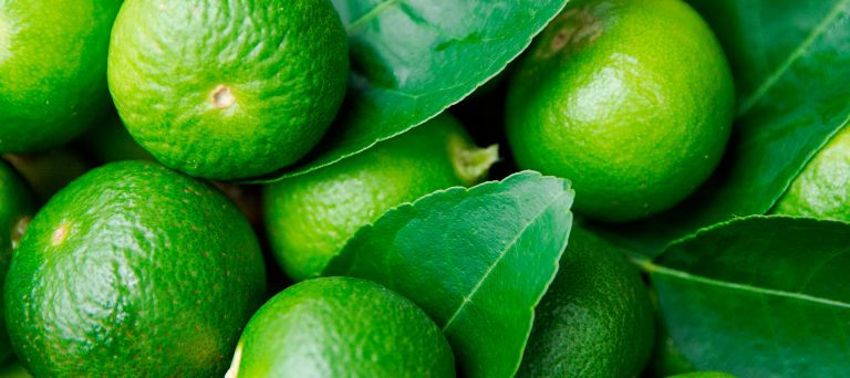 Exportación de limón Tahití llegó a US$ 4 millones entre enero y julio de este año