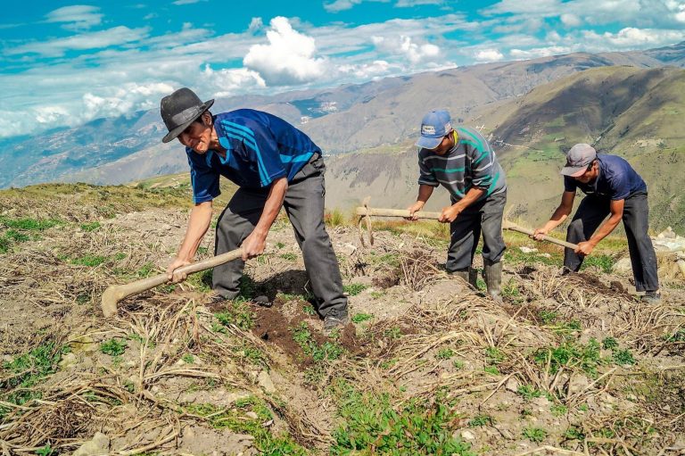 Agro peruano se proyecta al 2050 con énfasis en tecnología e inversión pública
