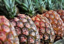 Cultivo de piñas en casa: cómo sembrar y cuidar tu propia planta tropical