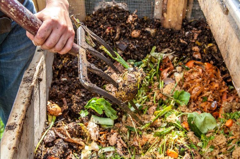 Conoce Cómo Hacer Compost Casero | Agropress