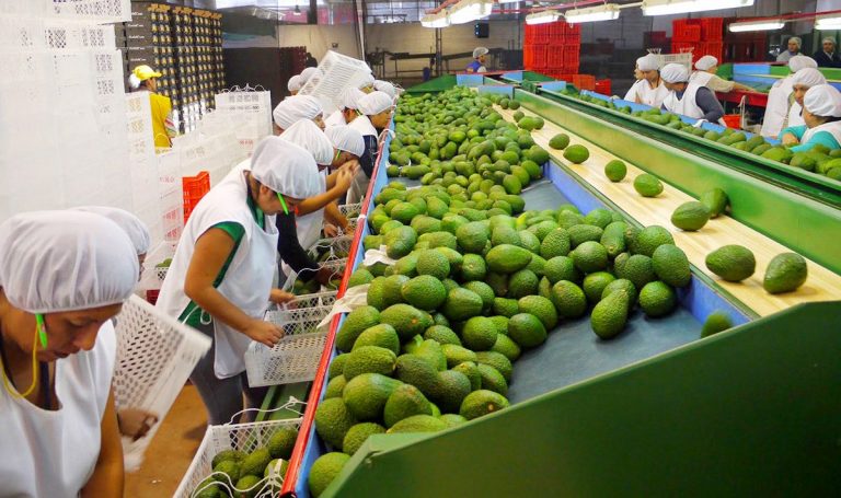Perú busca ingreso de nuevos productos agropecuarios a China