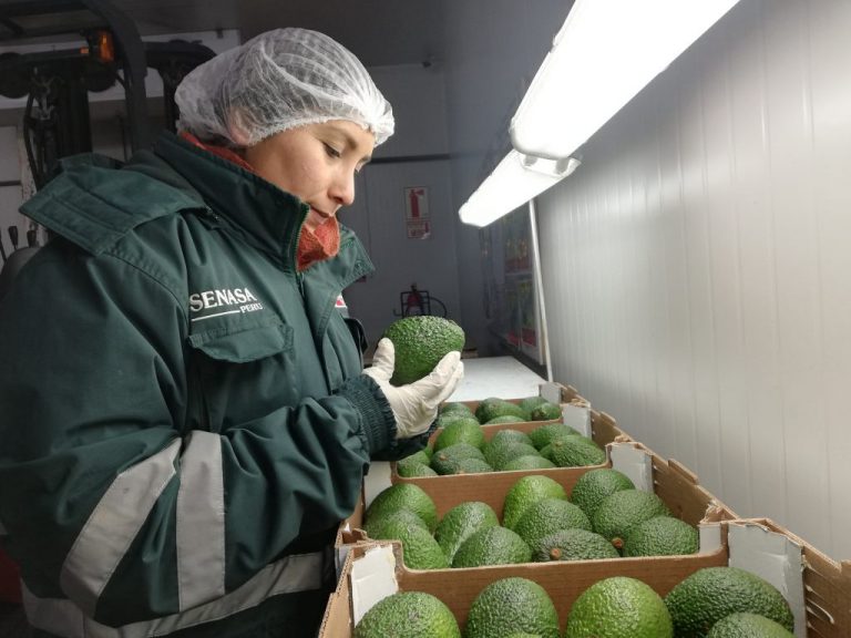 Senasa busca ingresar productos peruanos a mercados internacionales