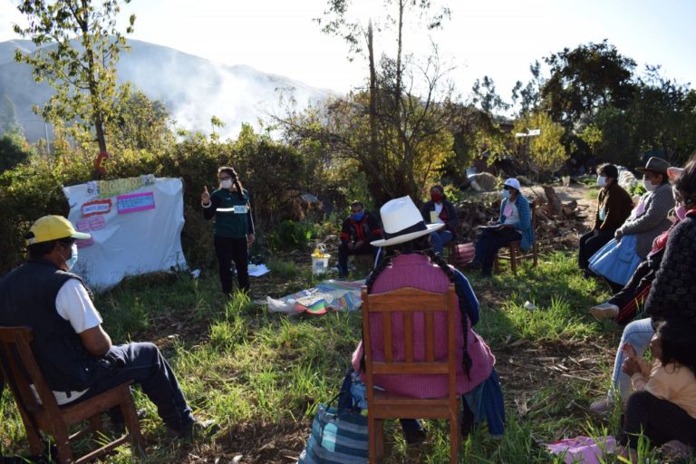 Senasa capacitó a 2,700 agricultores para mejorar producción durante emergencia sanitaria