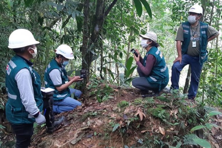 Servir inicia diagnóstico de conocimientos a gestores forestales y de fauna silvestre