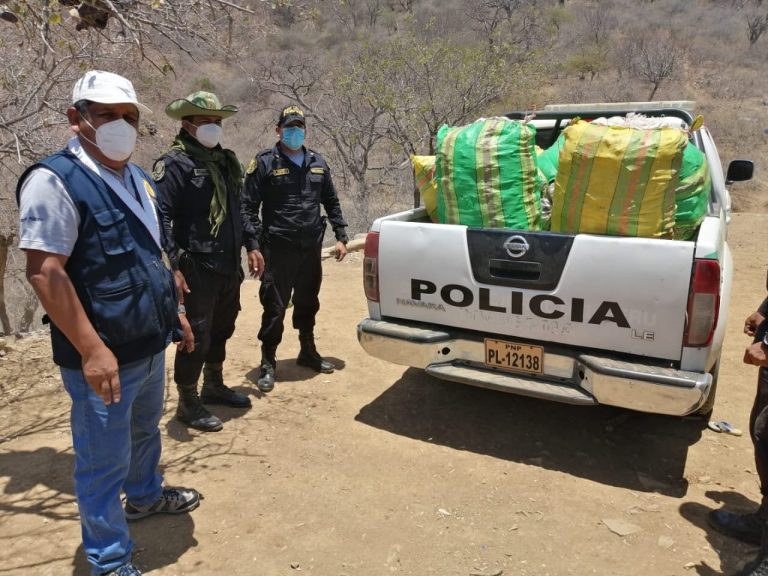 Incautan 280 kilos de palo santo ilegal en Sullana