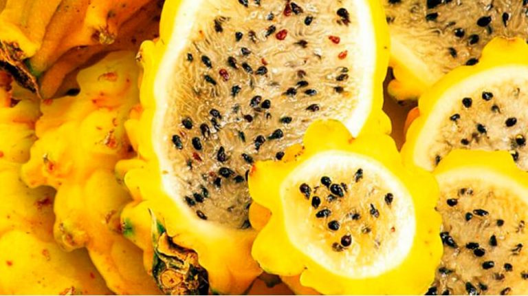 Decomisan 900 kilos de pitahaya de contrabando en Sullana