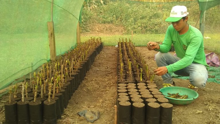 Agro Rural brinda capacitaciones gratuitas sobre manejo agropecuario