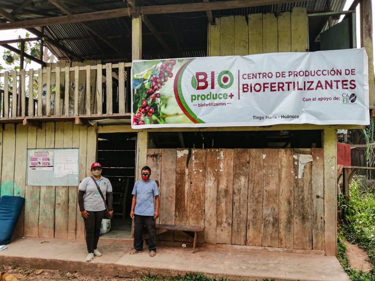 Caficultores crean biofertilizantes