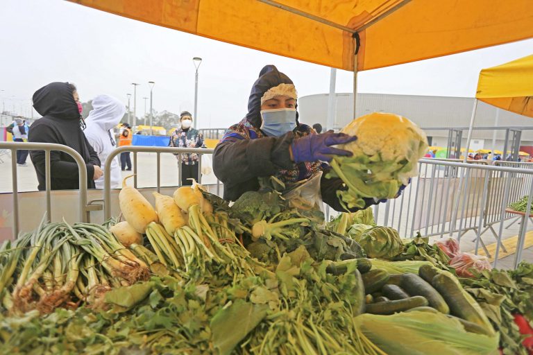 Perú impulsará formalización e infraestructura agropecuaria