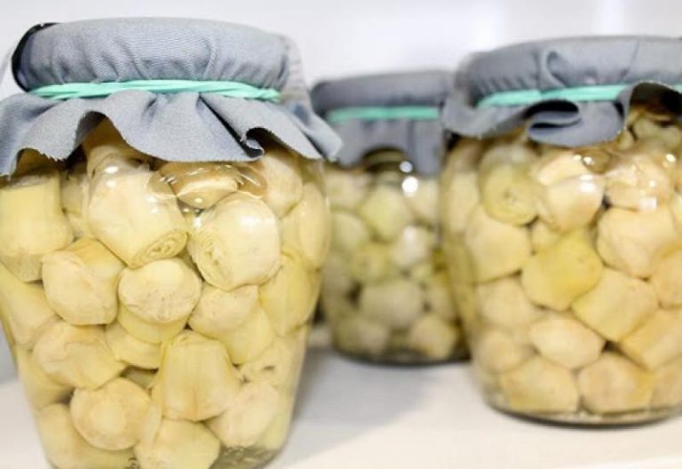 Exportación de alcachofas en conserva muestra notable incremento y supera los US$ 100.5