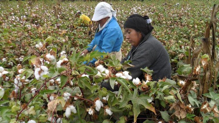 1 500 agricultores se beneficiarán con pago de intereses generados por préstamos