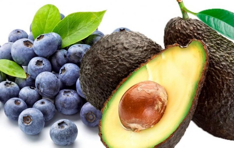 Perú es el primer exportador mundial de arándanos y segundo en paltas y espárragos