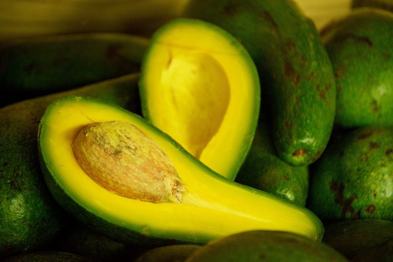 Exportación de palta peruana superó las 400 mil toneladas en campaña 2020 Exportación de palta peruana superó las 400 mil toneladas en campaña 2020