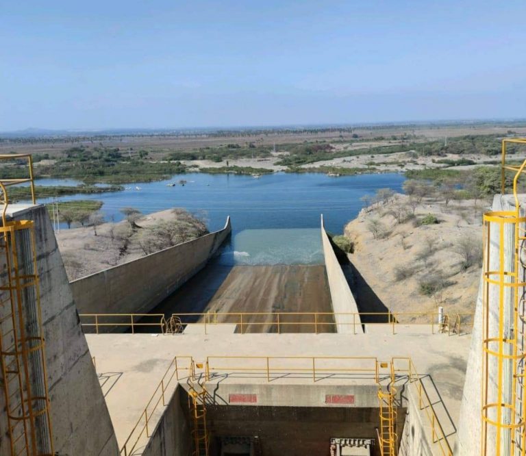 Agricultores piuranos temen perder 60 mil hectáreas en riesgo por déficit de agua
