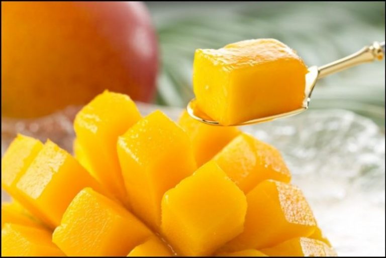 Exportación de mango crece y suma US$ 104 millones