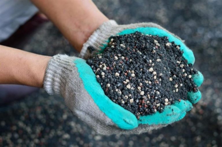 Distribuirán más de 4750 sacos de fertilizantes para mejorar 445 hectáreas de cultivos