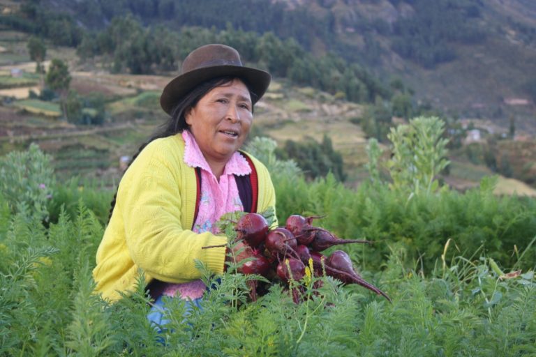 Lanzan campaña para visibilizar rol de mujeres rurales en Perú