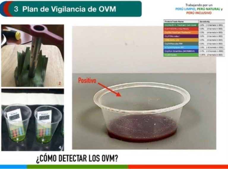 Ministerio del Ambiente descarta presencia de productos transgénicos en el Perú