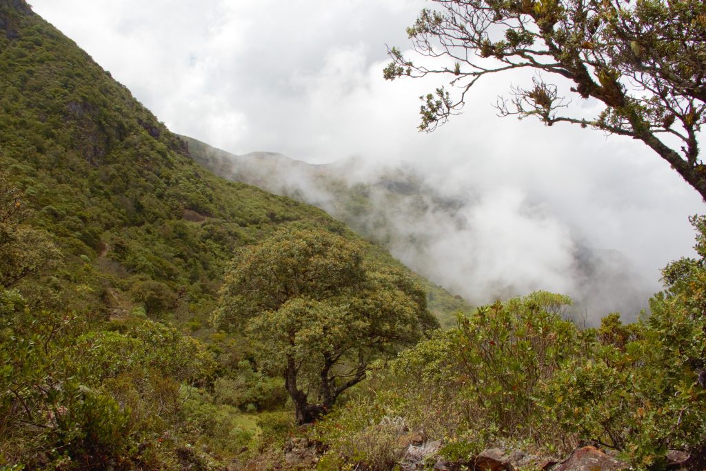 Empresa austriaca promueve la conservación del agua en Canchaque