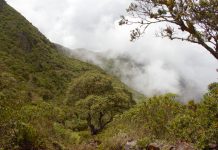 Empresa austriaca promueve la conservación del agua en Canchaque Empresa austriaca promueve la conservación del agua en Canchaque