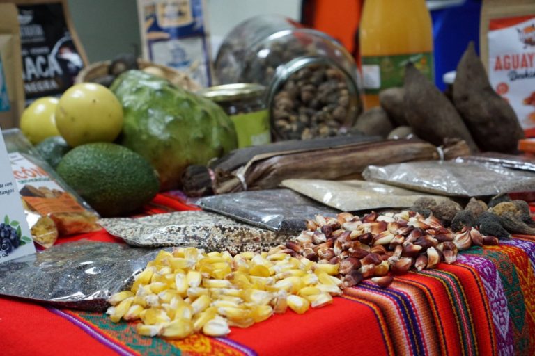 Consume estos alimentos agrícolas para superar la anemia