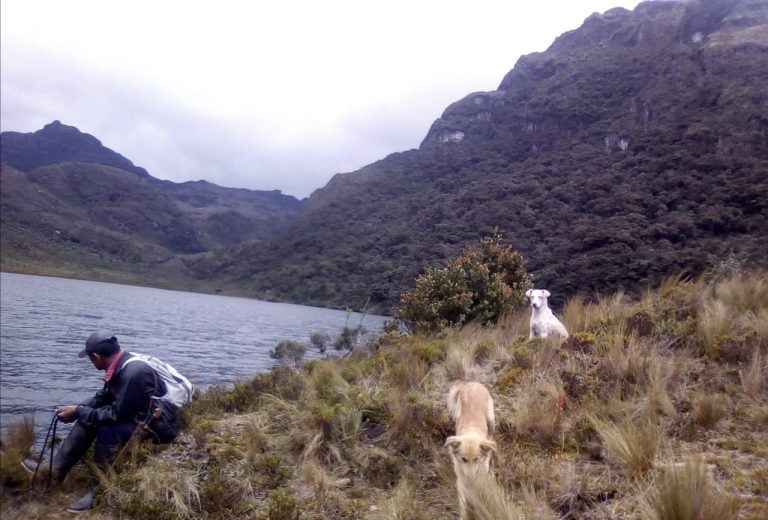 Pobladores de Ayabaca realizan patrullaje en sus bosques y páramos