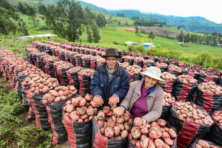 Congreso aprueba la creación del Ministerio de Desarrollo Agrario y Riego