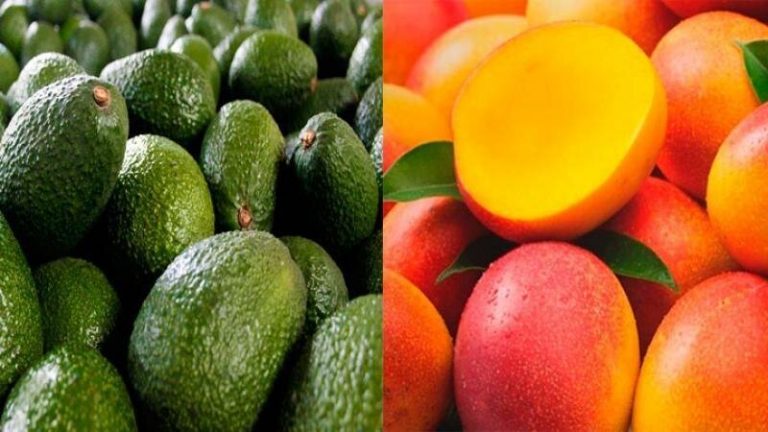 Mango y palta son los frutos peruanos más importados por Alemania